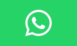 Baixe a versão mais recente do Whatsapp Plus V.16.20